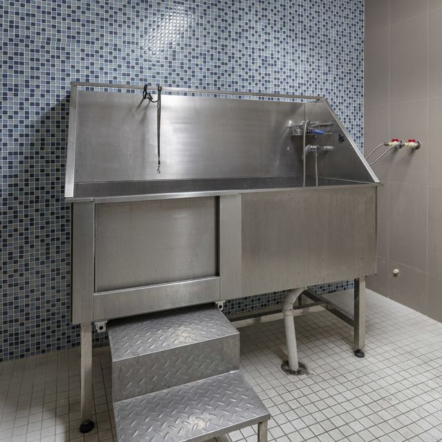 Blu27 - Pet Wash Station