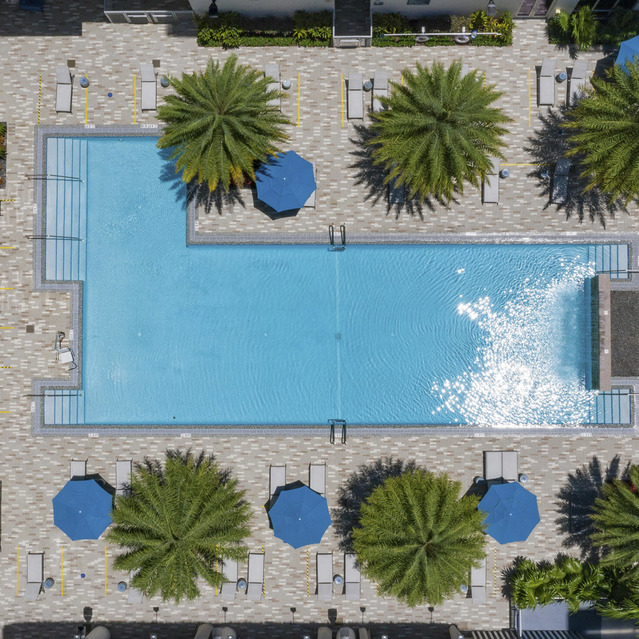 Blu27 - Aerial View of the Pool Surrounded by Trees
