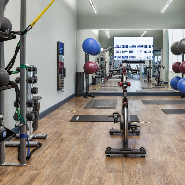Blu27 - Gym Equipment in the Fitness Center